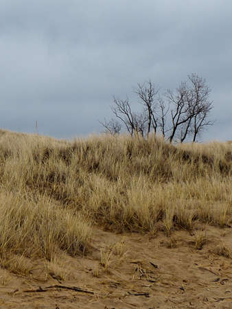 Beach erosion along Lake Michiganの写真素材