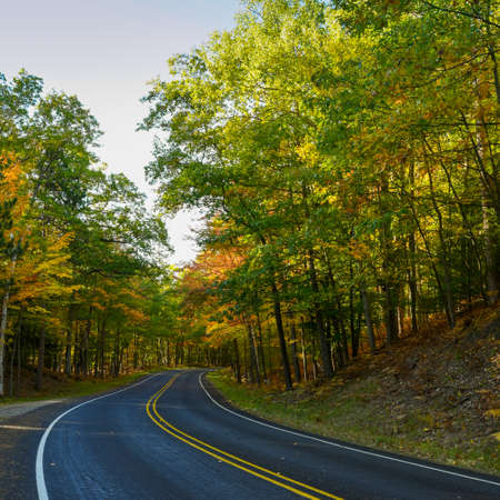 Horizontal image of early fall colors along an empty 2 lane road in Northern Michigan.の写真素材