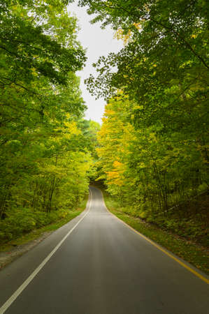 Vertical image of early fall colors in Northern Michigan.の写真素材