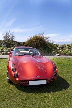 A red TVR sports car parked outdoors on grass