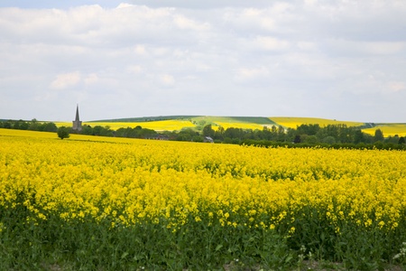 The village and church of Bishops Cannings near Devizes in Wiltshire UK with fields of bright yellow...