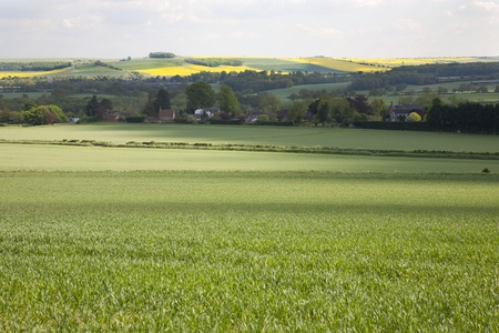 Wiltshire landscape