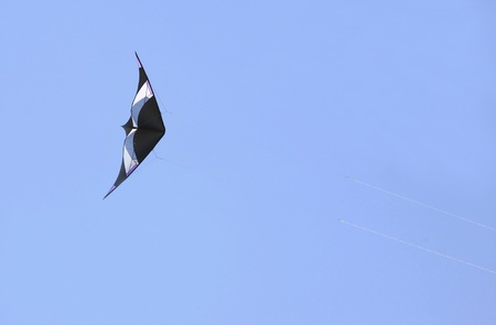 Blue kite flying highの写真素材