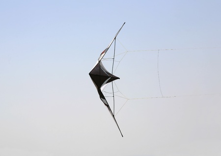 Blue kite flying high