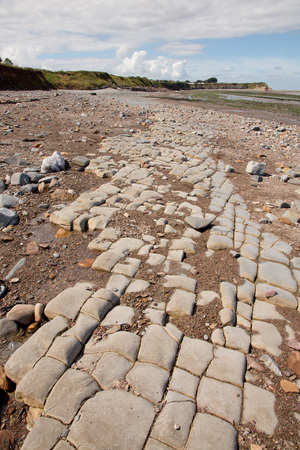 Doniford Bay consists of the Lower Jurassic Lias, and Triassic beds.The Jurassic lias at Doniford are the youngest of the lias at Somerset and marks the uppermost beds of the Lower lias.の写真素材