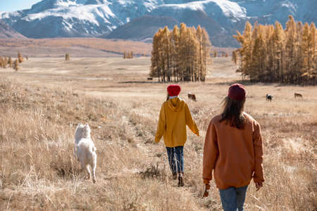Girls are walking with white eskimo dog in mountains