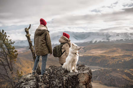 Two female hikers stands at mountain top with white dog and looks at the valleyの写真素材