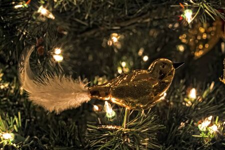 glass bird ornament and lights on Christmas treeの写真素材