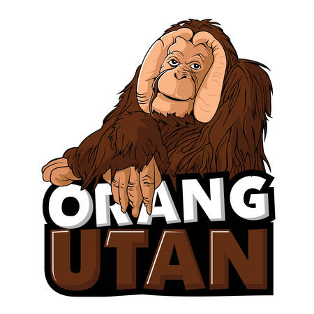 Orangutan Monkey Chimp Gorilla mascot Cartoonのイラスト素材