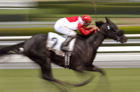 Motion Blur of Racing Jockey and Thoroughbred