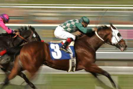 Motion Blur of Racing Jockey and Thoroughbred