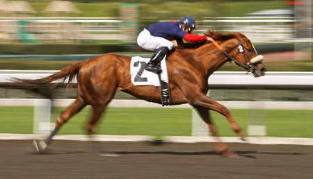 Motion Blur of Racing Horse and Riderの写真素材