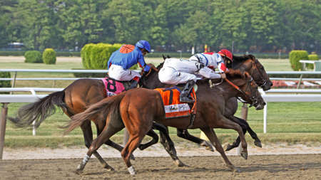 ELMONT, NY - JUN 5: Drosselmeyer, with Mike Smith up, runs down Game on Dude and First Dude en route to winning the 2010 Belmont Stakes at Belmont Park on Jun 5, 2010 in Elmont, NY.のeditorial素材