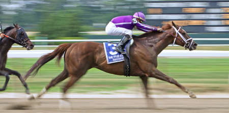 ELMONT, NY - JUN 5: Jockey Garrett Gomez guides Bribon to victory in The True North Handicap at...