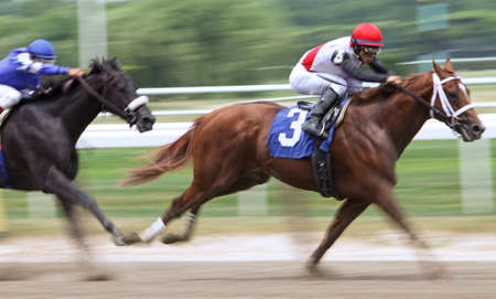 ELMONT, NY - JUN 5: Jockey Alan Garcia guides Trappe Shot to victory in an allowance race at Belmont Park on Jun 5, 2010 in Elmont, NY.のeditorial素材
