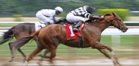 ELMONT, NY - JUN 5: Jockey Jose Lezcano and Top It compete in an allowance race at Belmont Park on Jun 5, 2010 in Elmont, NY.のeditorial素材