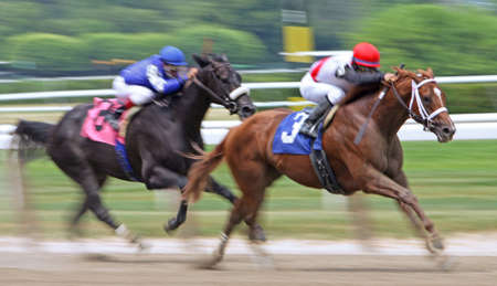 LMONT, NY - JUN 5: Jockey Alan Garcia guides Trappe Shot to victory in an allowance race at Belmont Park on Jun 5, 2010 in Elmont, NY.のeditorial素材