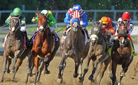 ARCADIA, CA - Two-year-old Uncle Sam (red & white stripes), under Rafael Bejarano, breaks his maiden at Santa Anita Park on Dec 27, 2010 in Arcadia, CA.のeditorial素材