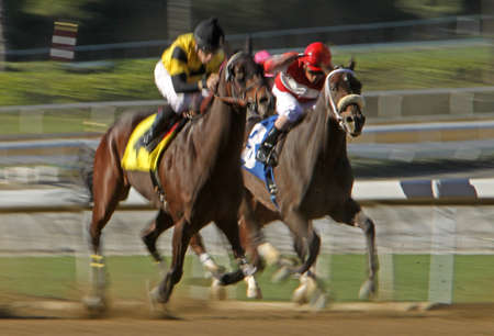 ARCADIA, CA - FEB 5  Jockeys storm down the homestretch in a claiming race at Santa Anita Park on Feb 5, 2011 in Arcadia, CA のeditorial素材