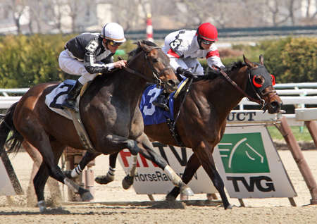JAMAICA, NY - APR 9: Jockey Ramon Dominguez (#2), moves "Callmetony" up the outside to defeat David Cohen and "Leap Day" at Aqueduct Race Track on Apr 9, 2011 in Jamaica, NY. のeditorial素材