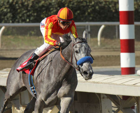 ARCADIA, CA - FEB 16: Jockey Rafael Bejarano pilots のeditorial素材