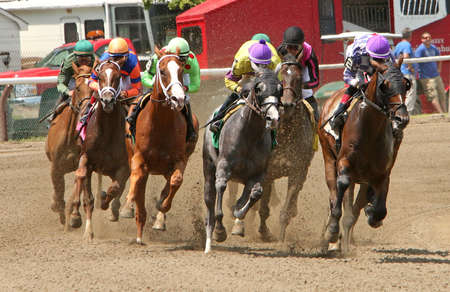 SARATOGA SPRINGS, NY - JUL 18: The field rounds the turn and heads down the backstretch in the 1st race of the season at historic Saratoga Race Course on July 18, 2014 in Saratoga Springs, NY. Eventual winner is longshot Winter Games (far right) and jockeのeditorial素材