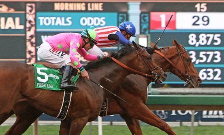 ARCADIA, CA - FEB 7: Jockey Martin Garcia (blue cap) and Dortmund outrun Gary Stevens and Firing...
