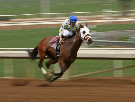 ARCADIA, CA - FEB 7: Jockey Santiago Gonzalez guides "Signature Cat" to his maiden victory at historic Santa Anita Park on February 7, 2015 in Arcadia, CA.のeditorial素材