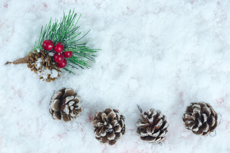 Bucket of pine cone, leaves and red berries on the snow. Copy space.