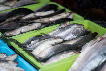 Fresh fish sold in the traditional market in Surabaya, Indonesia.の写真素材