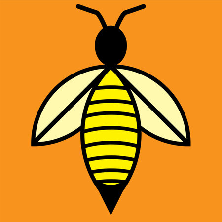 Vector image of a bee on an orange backgroundのイラスト素材