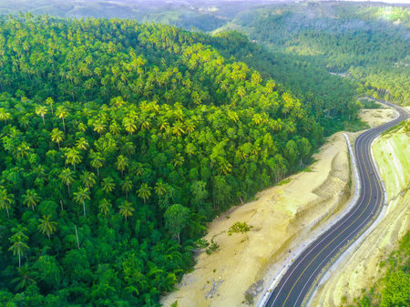 a curved road snaking through a dense green forest on JLS or South Coast Road, Tulungagung, East...