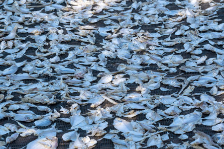 a close-up of dried salted fish. They are grey and silver color and appear stiff and cured....