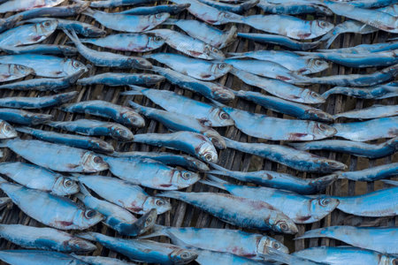 a close-up of dried salted fish. They are grey and silver color and appear stiff and cured....