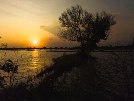 Golden light bathes the landscape as the sun dips below the horizon, illuminating a flooded rice field on Surabaya, Indonesia.の写真素材