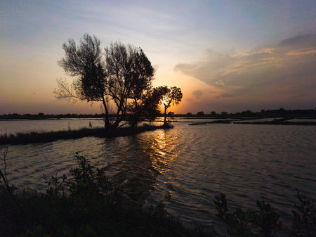Golden light bathes the landscape as the sun dips below the horizon, illuminating a flooded rice field on Surabaya, Indonesia.の写真素材