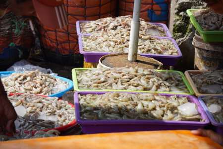 Fresh prawns in a market in Surabaya, Indonesia, closeup of photo.の写真素材