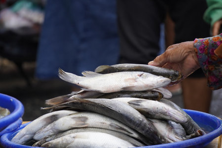 Fresh fish for sale in the local market of Surabaya, Indonesia, Asia.