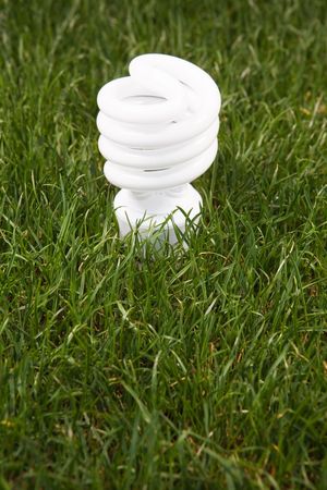 Energy saving light bulb in green grass