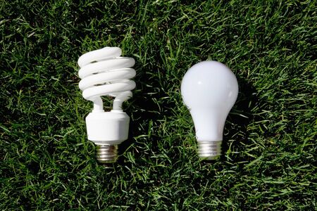 Energy Saving Light Bulb and Incandescent Bulb laying on green grass