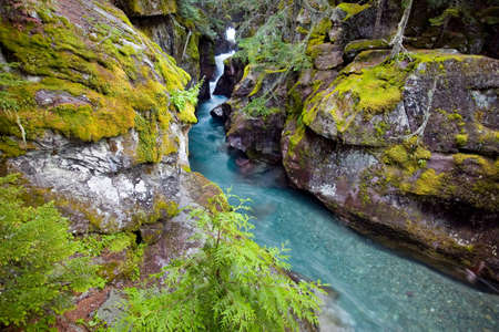 Avalanche Gorge in Glacier National Park, North Americaの写真素材