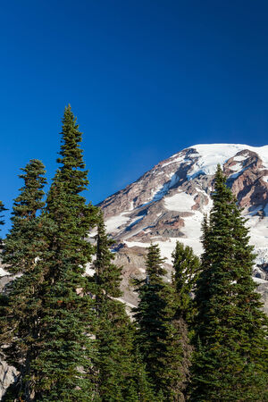 Mount Rainier National Park, Washingtonの写真素材