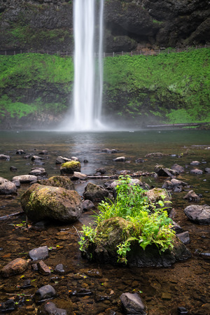 South Falls at Silver Falls State Park in Oregon. The park, which is the largest state park in Oregon, boasts many of the most beautiful waterfalls found in the state.の写真素材