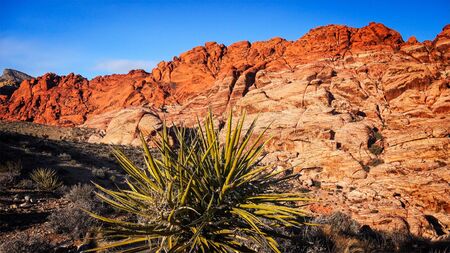 The Red Rock Canyon National Conservation Area near Las Vegas, Nevadaの写真素材