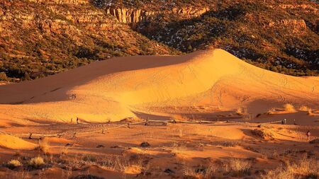 Last warm light of the day hits the dunes at Coral Pink Sand Dunes State Park near Kanab, Utahの写真素材