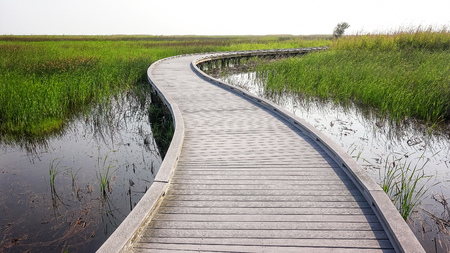Boardwalk curves through  a marsh and wetlands at Sabine National Wildlife Refuge in Louisianaの写真素材