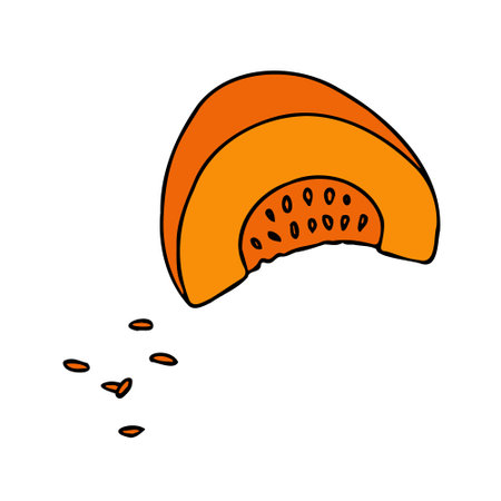 Cute autumn vector illustration, hand drawn pumpkinsのイラスト素材