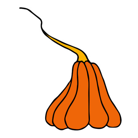 Cute autumn vector illustration, hand drawn pumpkins, isolated on white backgroundのイラスト素材