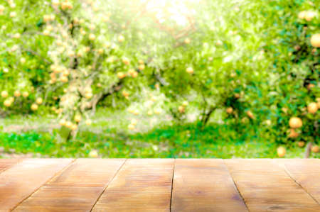 Wood table top with blur of orange garden in the morning.For montage product display.の写真素材