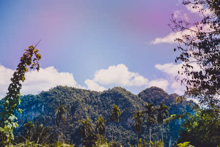Beautiful mountain view with outstanding palm trees. Vintage filter.の写真素材